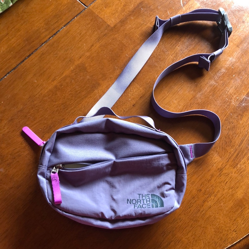 The north face Fanny pack